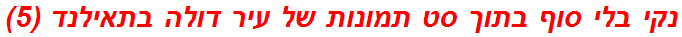 נקי בלי סוף בתוך סט תמונות של עיר דולה בתאילנד (5)