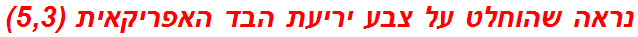 נראה שהוחלט על צבע יריעת הבד האפריקאית (5,3)