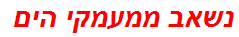 נשאב ממעמקי הים