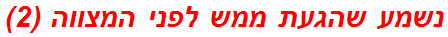 נשמע שהגעת ממש לפני המצווה (2)