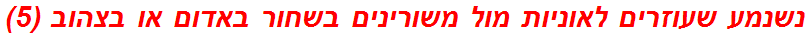 נשנמע שעוזרים לאוניות מול משורינים בשחור באדום או בצהוב (5)