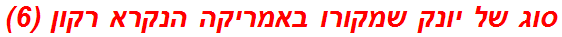 סוג של יונק שמקורו באמריקה הנקרא רקון (6)