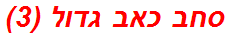 סחב כאב גדול (3)