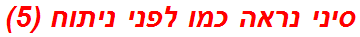 סיני נראה כמו לפני ניתוח (5)