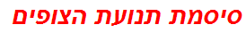 סיסמת תנועת הצופים