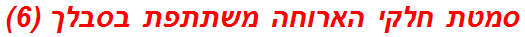 סמטת חלקי הארוחה משתתפת בסבלך (6)