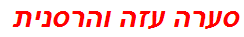 סערה עזה והרסנית