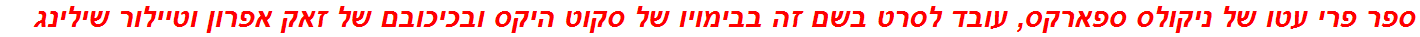 ספר פרי עטו של ניקולס ספארקס, עובד לסרט בשם זה בבימויו של סקוט היקס ובכיכובם של זאק אפרון וטיילור שילינג