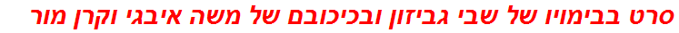 סרט בבימויו של שבי גביזון ובכיכובם של משה איבגי וקרן מור