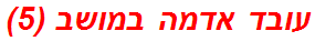 עובד אדמה במושב (5)