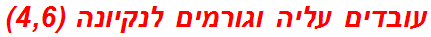 עובדים עליה וגורמים לנקיונה (4,6)