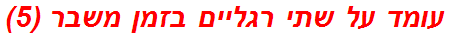 עומד על שתי רגליים בזמן משבר (5)