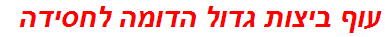 עוף ביצות גדול הדומה לחסידה