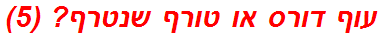 עוף דורס או טורף שנטרף? (5)