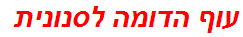 עוף הדומה לסנונית