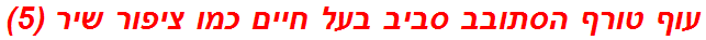 עוף טורף הסתובב סביב בעל חיים כמו ציפור שיר (5)