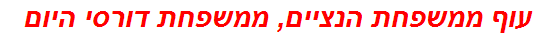 עוף ממשפחת הנציים, ממשפחת דורסי היום