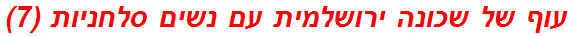 עוף של שכונה ירושלמית עם נשים סלחניות (7)