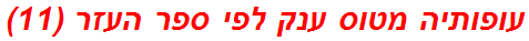 עופותיה מטוס ענק לפי ספר העזר (11)