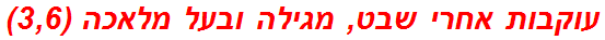 עוקבות אחרי שבט, מגילה ובעל מלאכה (3,6)