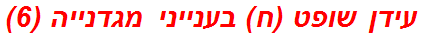 עידן שופט (ח) בענייני מגדנייה (6)