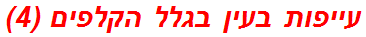 עייפות בעין בגלל הקלפים (4)