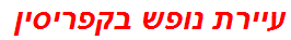 עיירת נופש בקפריסין