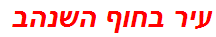 עיר בחוף השנהב