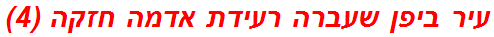 עיר ביפן שעברה רעידת אדמה חזקה (4)