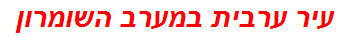 עיר ערבית במערב השומרון