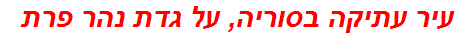 עיר עתיקה בסוריה, על גדת נהר פרת