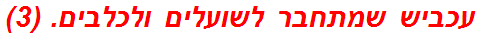 עכביש שמתחבר לשועלים ולכלבים. (3)