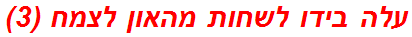 עלה בידו לשחות מהאון לצמח (3)