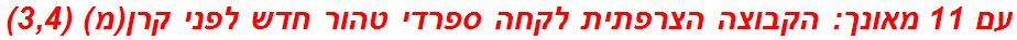 עם 11 מאונך: הקבוצה הצרפתית לקחה ספרדי טהור חדש לפני קרן(מ) (3,4)