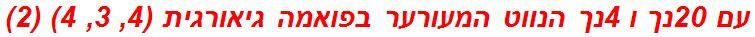 עם 20נך ו 4נך הנווט המעורער בפואמה גיאורגית (4, 3, 4) (2)