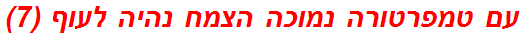 עם טמפרטורה נמוכה הצמח נהיה לעוף (7)