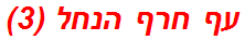 עף חרף הנחל (3)