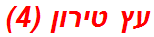 עץ טירון (4)