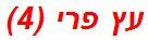 עץ פרי (4)