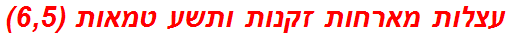 עצלות מארחות זקנות ותשע טמאות (6,5)