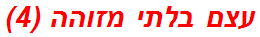 עצם בלתי מזוהה (4)