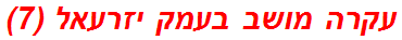 עקרה מושב בעמק יזרעאל (7)