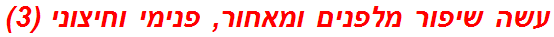 עשה שיפור מלפנים ומאחור, פנימי וחיצוני (3)