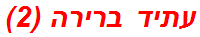 עתיד ברירה (2)