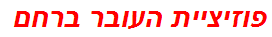 פוזיציית העובר ברחם