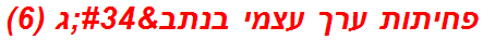 פחיתות ערך עצמי בנתב"ג (6)