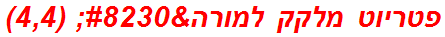 פטריוט מלקק למורה… (4,4)