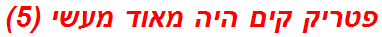 פטריק קים היה מאוד מעשי (5)