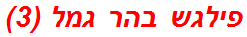 פילגש בהר גמל (3)