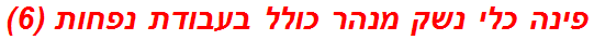 פינה כלי נשק מנהר כולל בעבודת נפחות (6)